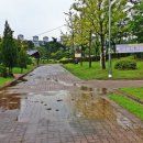 옥구공원 이미지