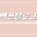 신세기안경서창점 이미지