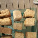 용골농원 이미지