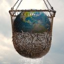 씨스피라시 Seaspiracy, 2021 / 카우스피라시 Cowspiracy 이미지