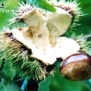 물결속으로 이미지