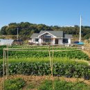 청천부동산중개사무소 이미지