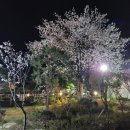 하비스트키즈풀빌라