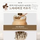 박종우태권도 이미지