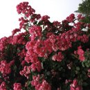 한길공원 이미지