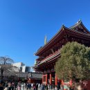 코스타리몬(costa limon) | 🇯🇵 <도쿄여행 3일차> 편의점프로틴/토야마/아사쿠사센소지/스카이트리/코스타커피/나리타공항면세점