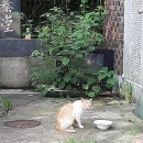 여주-0719 네이버블로그