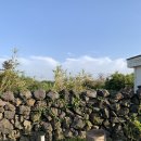 박별김모리 민박 | 제주 애월 숙소 추천 가성비 좋았던 감성민박 '박별김모리'