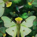 예미초등학교 이미지