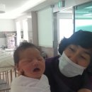 진선목장 이미지