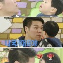 애니멀즈 이미지