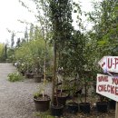 이글농장 이미지