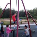 진작에와볼껄 이미지