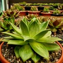 꿈의궁전 이미지