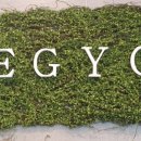 이지요더파크 이미지