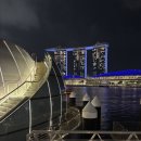 남문슈퍼 | [싱가포르 레이오버 여행] 야경과 가든스 바이 더 베이(슈퍼트리쇼 시간, 입구)