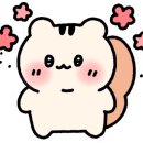 미라메뷰티(mirame beauty) 이미지