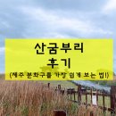 제주산굼부리분화구 | 산굼부리 소요시간, 요금,후기! (제주에서 분화구 가장 쉽게 보기)