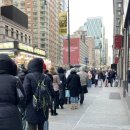 자스민하우스 | 차 (뉴욕 우드버리 아울렛 쇼핑 후기, 뉴욕 맛집 하노이 하우스, 헤이티 자스민밀크티, 써밋 원...