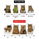 신동-75 | 수원 PT 바디튜토리얼 영통신동점 4주간의 변화