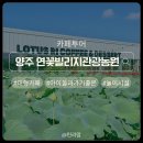 원탑농원 | [경기 양주] 연꽃 만개 정원이 있는 연꽃빌리지 관광농원｜아이와 가기 좋은 숨은 명소