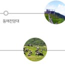 삼양식당 이미지