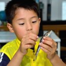 월학초등학교 이미지