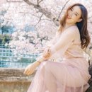 성림휠얼라이먼트 이미지