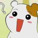 우당탕 랜드 이미지