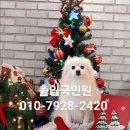 즐거운 행정사 사무소 이미지