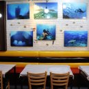 나라(214) 이미지