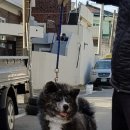 아키타 - 부평구 부평대로17번길 17 | 아키타