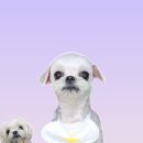 왈츠동물병원 이미지