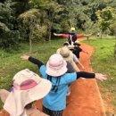 자연아이숲유치원 이미지