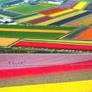 해방블루스
