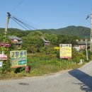 백운행정사사무소 이미지