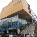 페페의 꿈 이미지