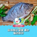 구주철강 | 四字成語 총정리 692 (구좌작대촉~구중부화)
