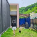 미산면사무소 | 경기도 연천 중형견, 대형견 동반 애견 독채펜션 진돗개도 가능 '또또멍'