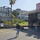 연돈볼카츠광주 | 제주 연돈 웨이팅 예약 방법과 치즈까스 카레 후기