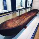 사피엔스 이미지