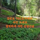 삼이유통 이미지