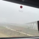 강블맥 | [19주차] 결국 진행한 맥수술