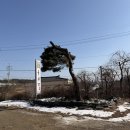 풍기삼계탕 | 풍기 호원당식당 능이삼계탕 후기｜맑고 시원한 국물, 영주,부석사 근처 보양식 맛집