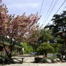 산수화펜션 이미지