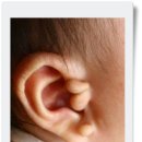 아이본성형외과의원 이미지