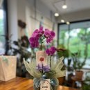 꽃집초이 이미지