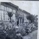 성심제일약국 이미지