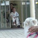 못된강아지 이미지