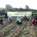 수장리 온양신문